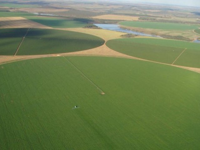 Qualidade como base da Agricultura de Precisão em áreas irrigadas
